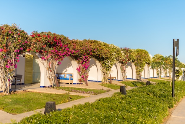 mar-rojo-egipto-resort_1385-3124